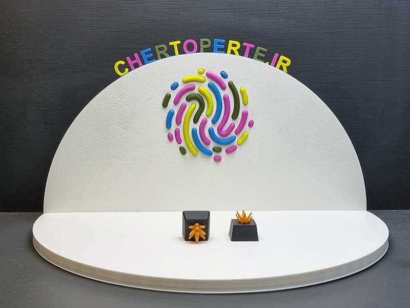 کیکپ طرح خار کاکتوس